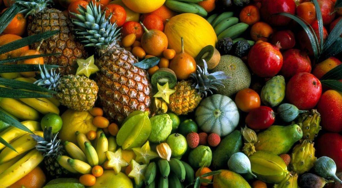 创意水果拼盘,让孩子爱上吃水果,做法简单,种类多样_橘子_猕猴桃_橙子