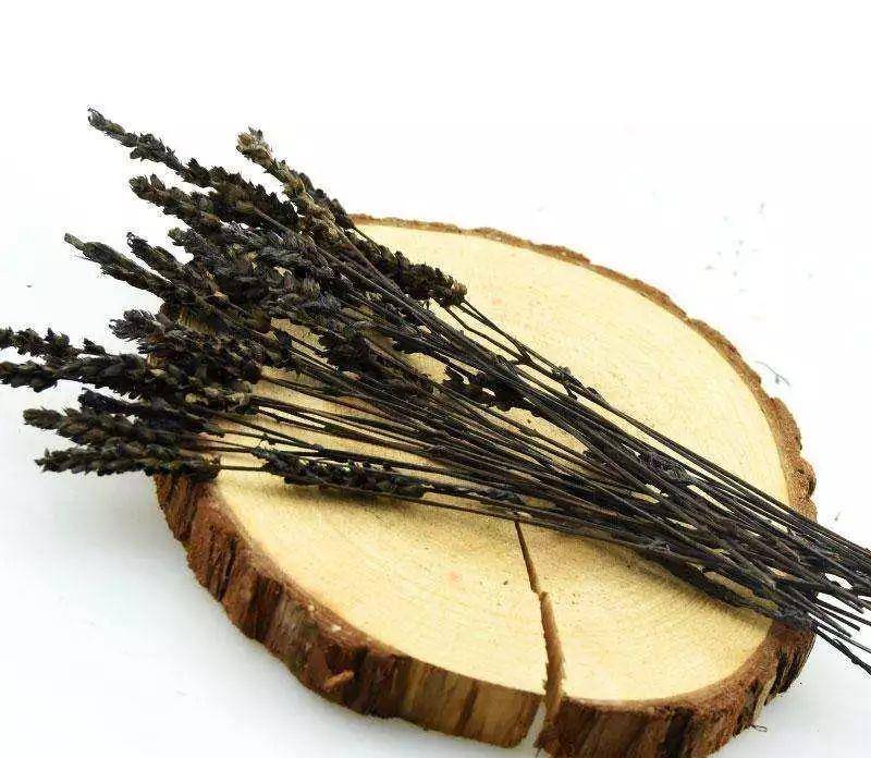 鬼羽箭和鬼箭羽的区别辨识与鉴赏