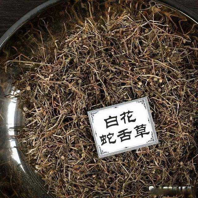 俗名"蛇药草,老人称"肿瘤草,农村路边就有,大家