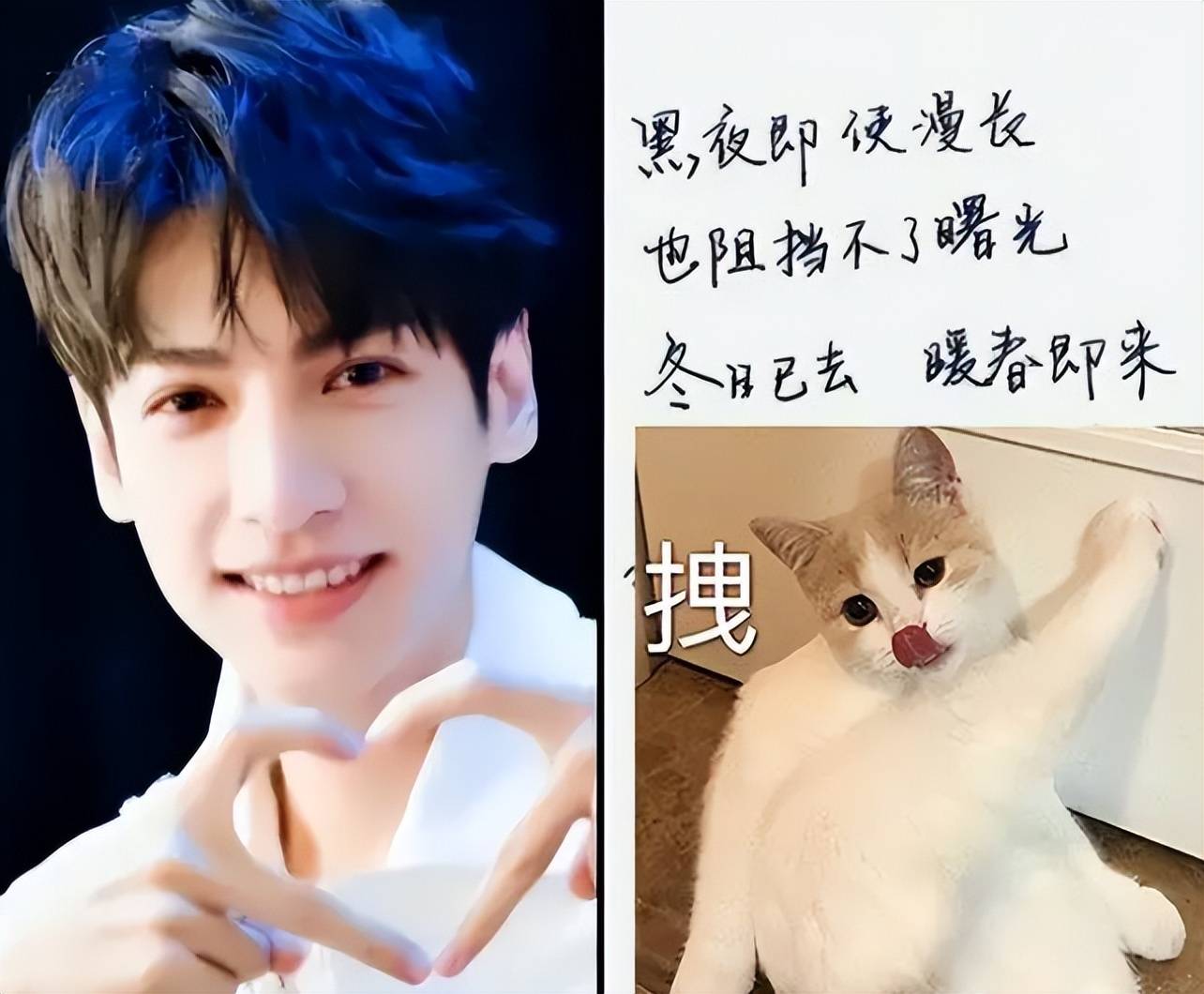 "汉仪罗云熙字体"走红,比赵今麦体还受欢迎,连老师都赞不绝口_字迹