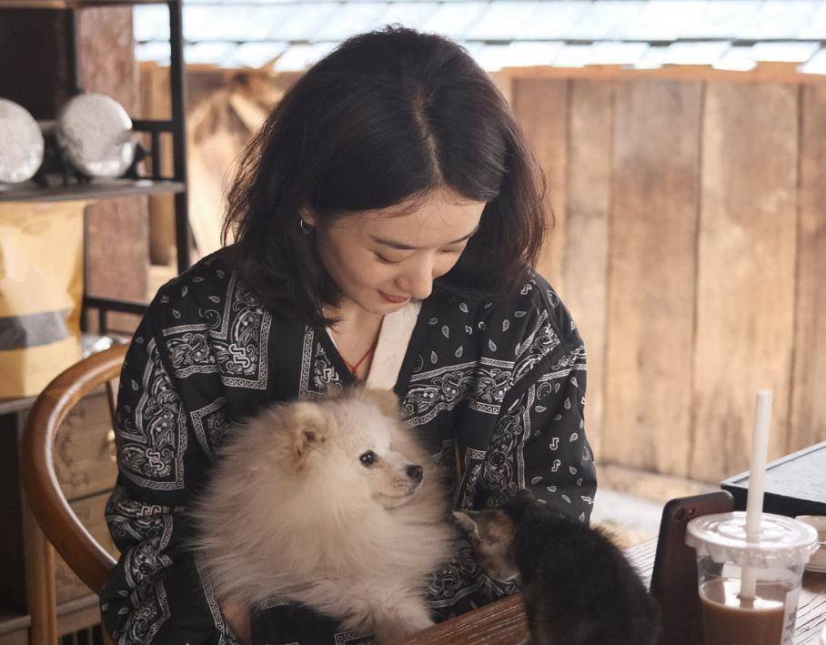 赵丽颖影楼照:颖宝抱着小狗好温柔,和宠物自拍好可爱!_照片_白色_小猫