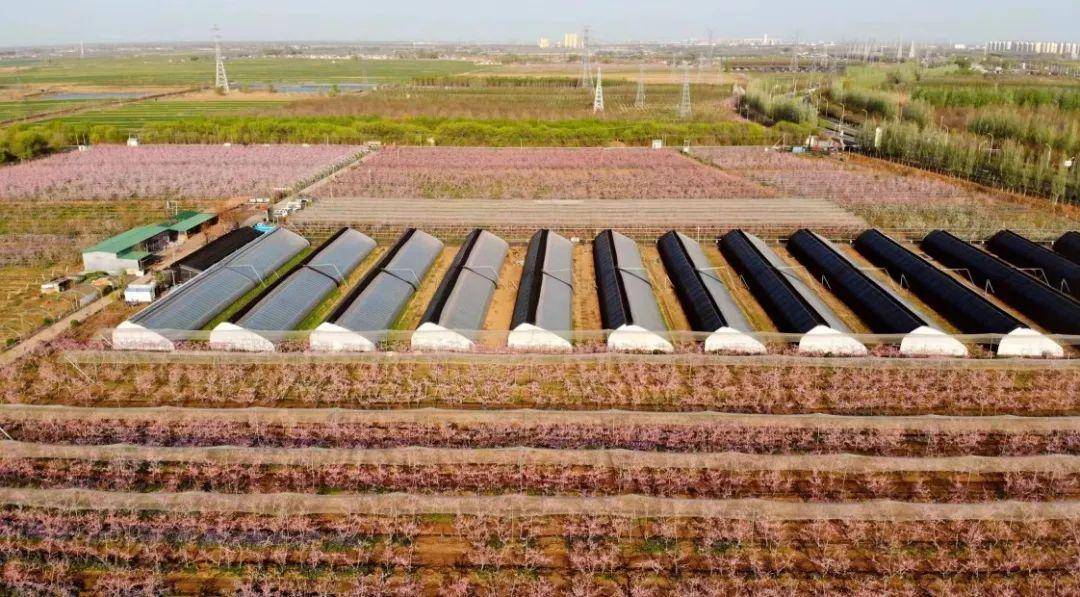 三农春风吹进世外桃源,昽森农场科学种植打造新生态_农业_家庭农场