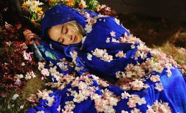 树上的"睡美人":杨幂,赵丽颖仙气过重,杨紫摇摇欲坠太呆萌_刘亦菲