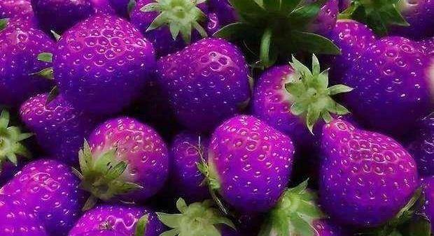 公认"最奇葩"的4种水果,黄色西瓜不算啥,看到图4:这也能吃?