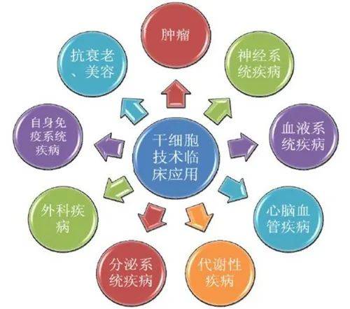 干细胞疗法在胰腺损伤引起的炎症反应中能够发挥强大的抗炎作用_治疗