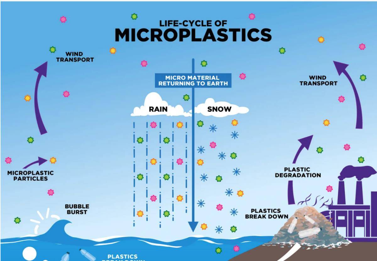 微塑料进入人体的途径图片