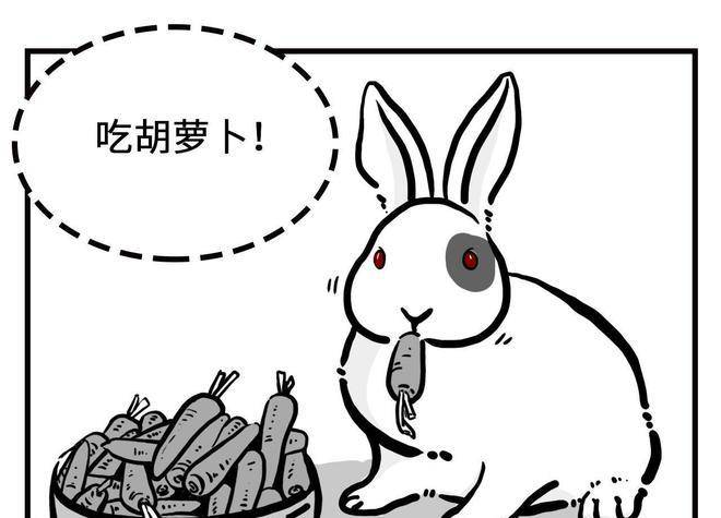 可能吃都吃不完_兔子_物种_问题