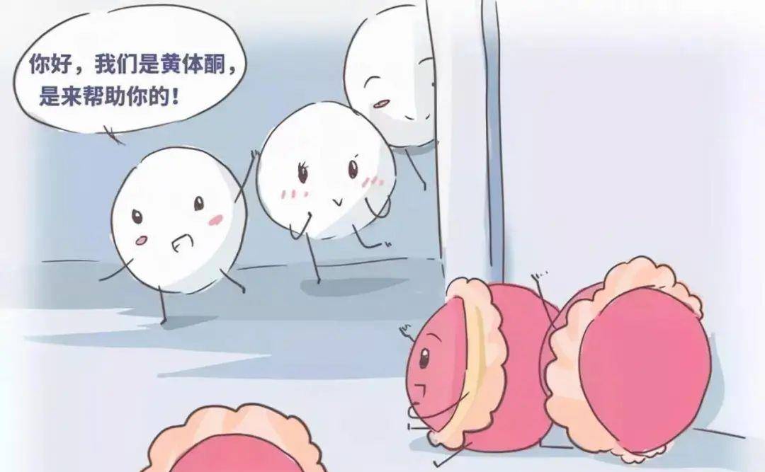 当受精卵植入后,黄体酮还会让子宫产生胎盘,并减少妊娠子宫的兴奋性