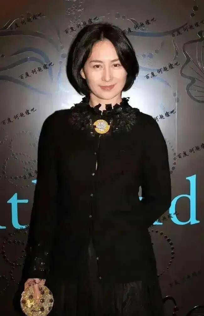 何超琼离婚23年后,与前夫现状云泥之别,何超琼活出了大女主!