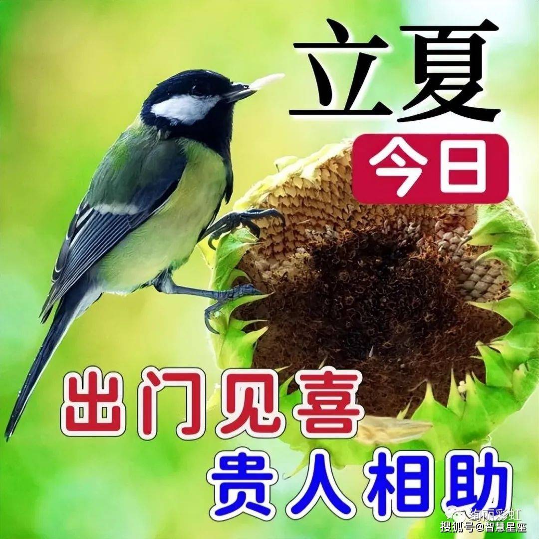 立夏问候祝福图片图片