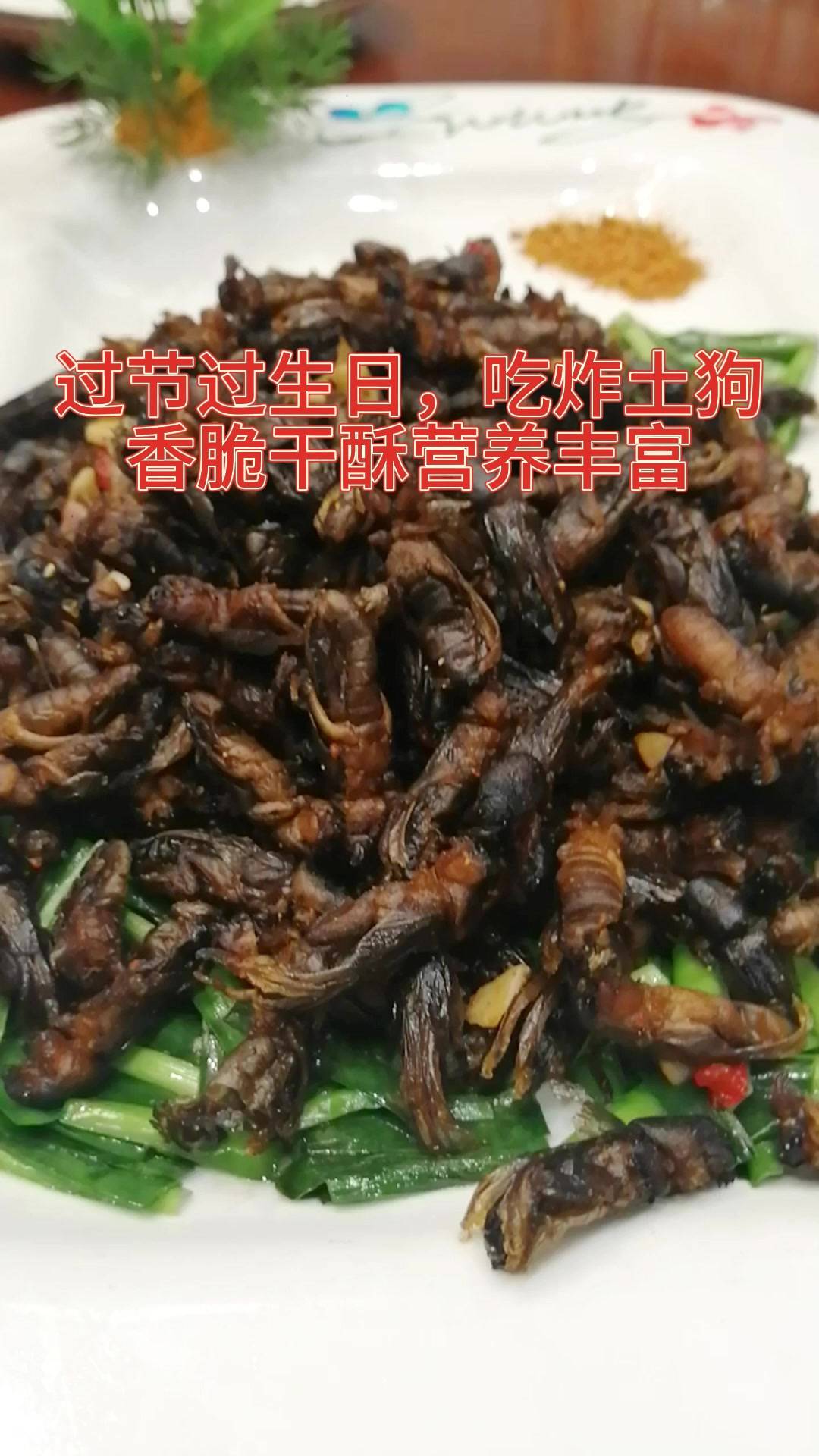 过节过生日,吃炸土狗,香脆干酥营养丰富_蝼蛄_美味_南宁