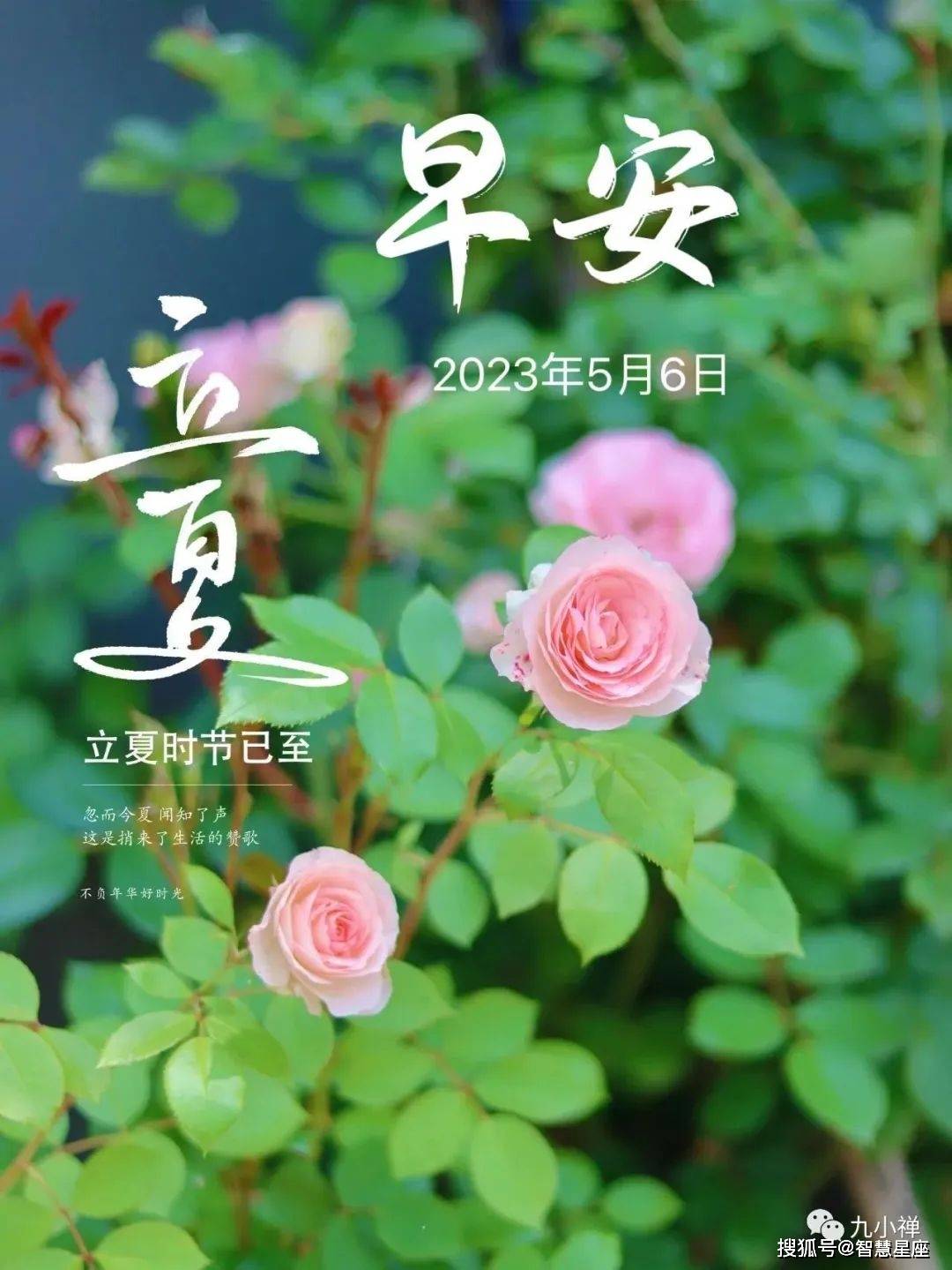5月6日周六早上好,立夏早安问候祝福图片_季节_星期六_柚子