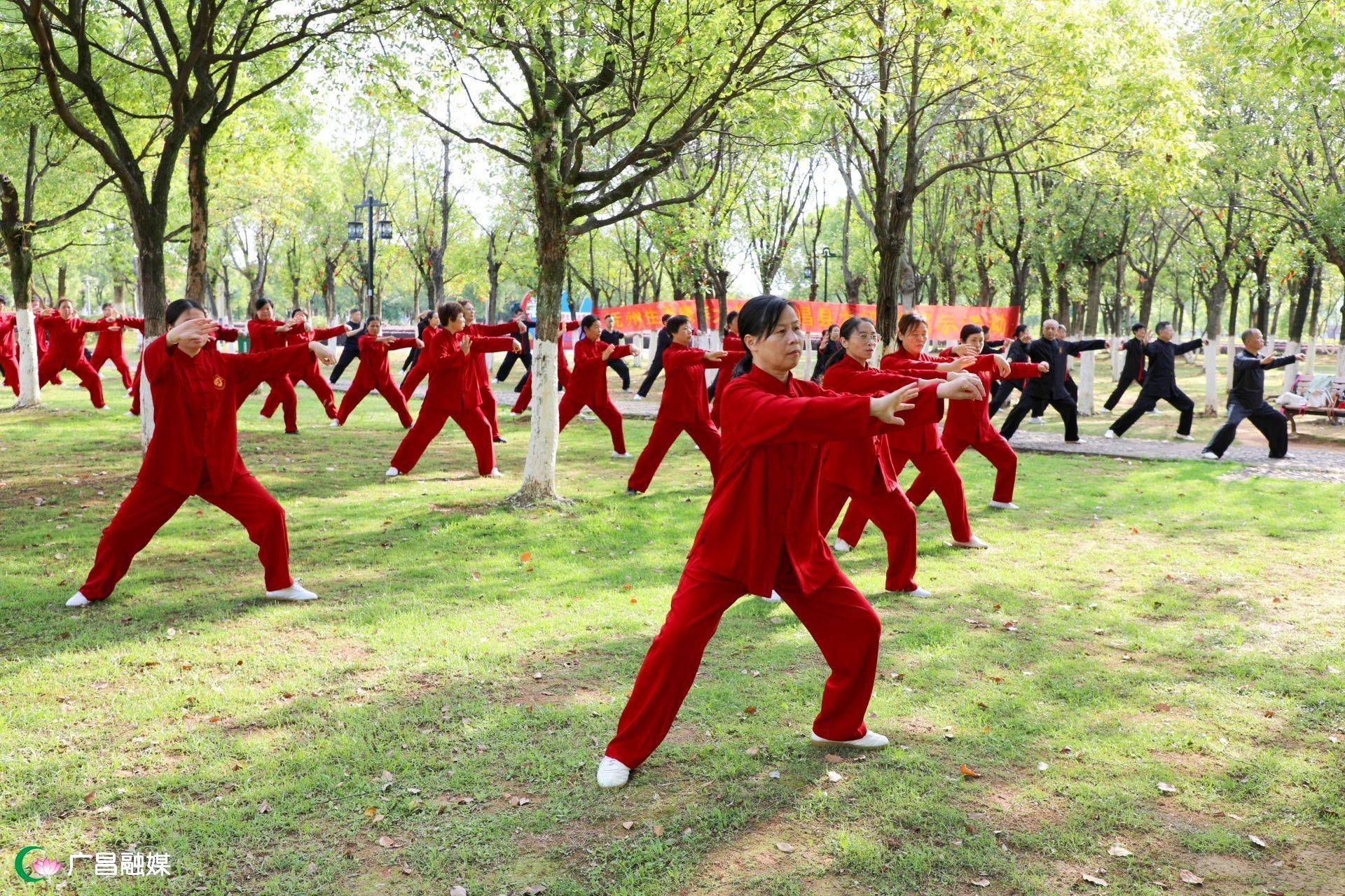 森林公園中舉行,太極拳拳友們分別作了陳式太極拳十三式,陳式太極拳老