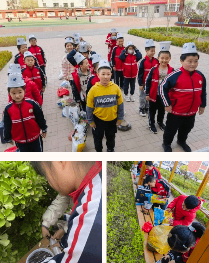 种植白芨种子（桑黄中药材销售与收购地址） 第3张