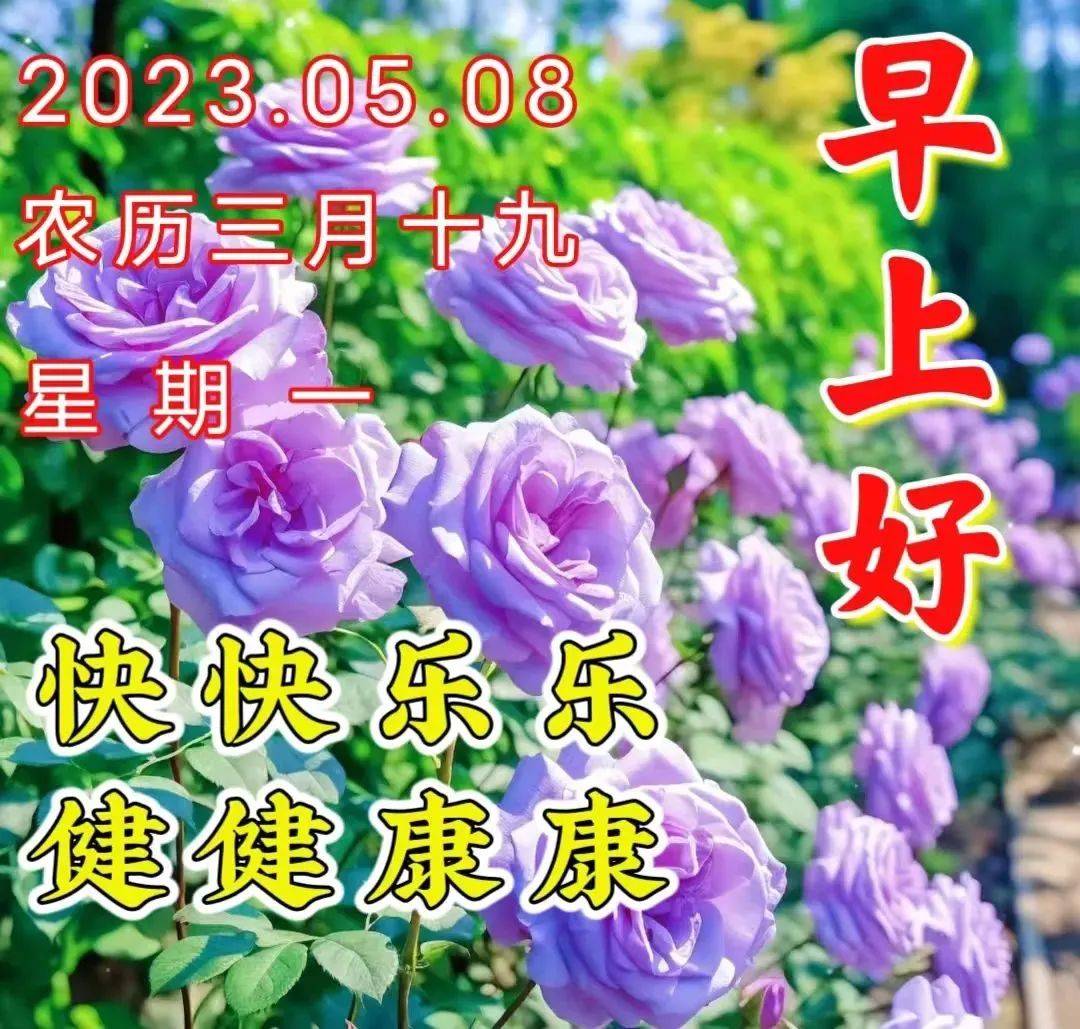 2023年5月8日週一早上好問候祝福動態表情圖片 週一最新早安問候祝福