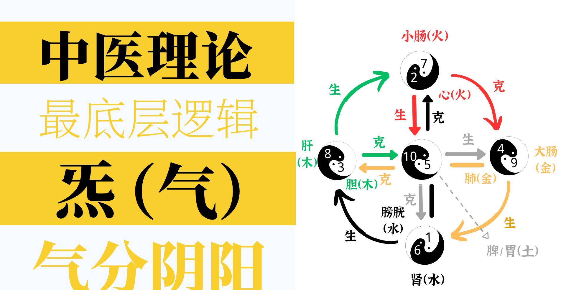 很多中医不重视,中医的最底层逻辑是"气",学中医要先明白气!