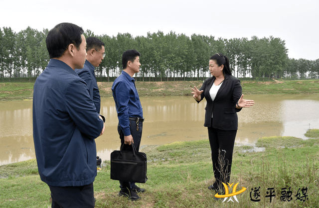李振南调研防汛备汛,农村人居环境整治,麦田管理工作_情况_小麦