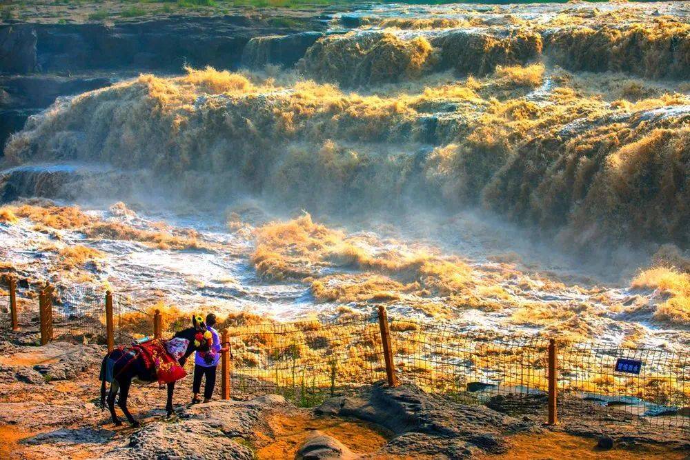 潼關_景區_鄉村旅遊