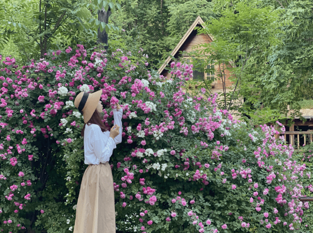 美女闻花香背影图片图片