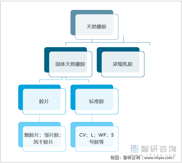 產業鏈及前景趨勢——智研諮詢發佈_我國_種植_橡膠樹