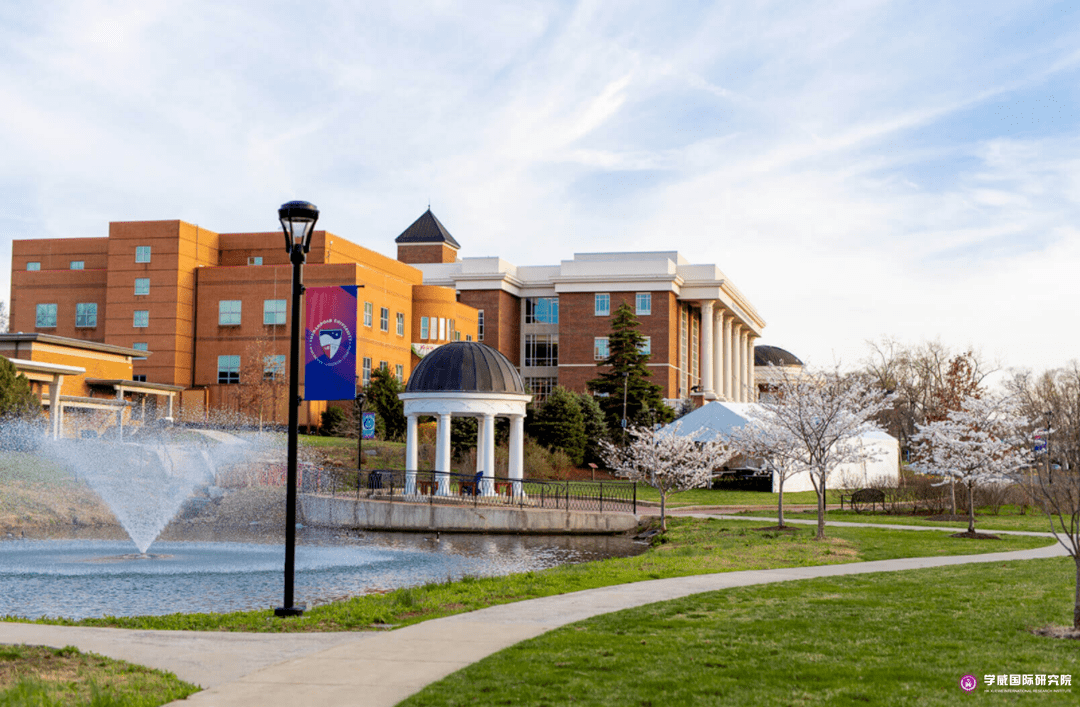 美国雪兰多大学mba项目学位班_全球_教学_案例