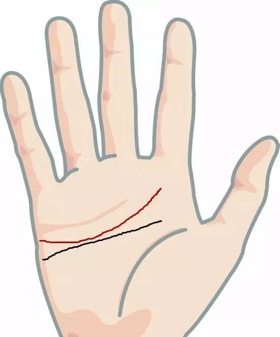 感情线起点低,几乎接近头脑线,感情支配理性,反之感情线高且接近感情