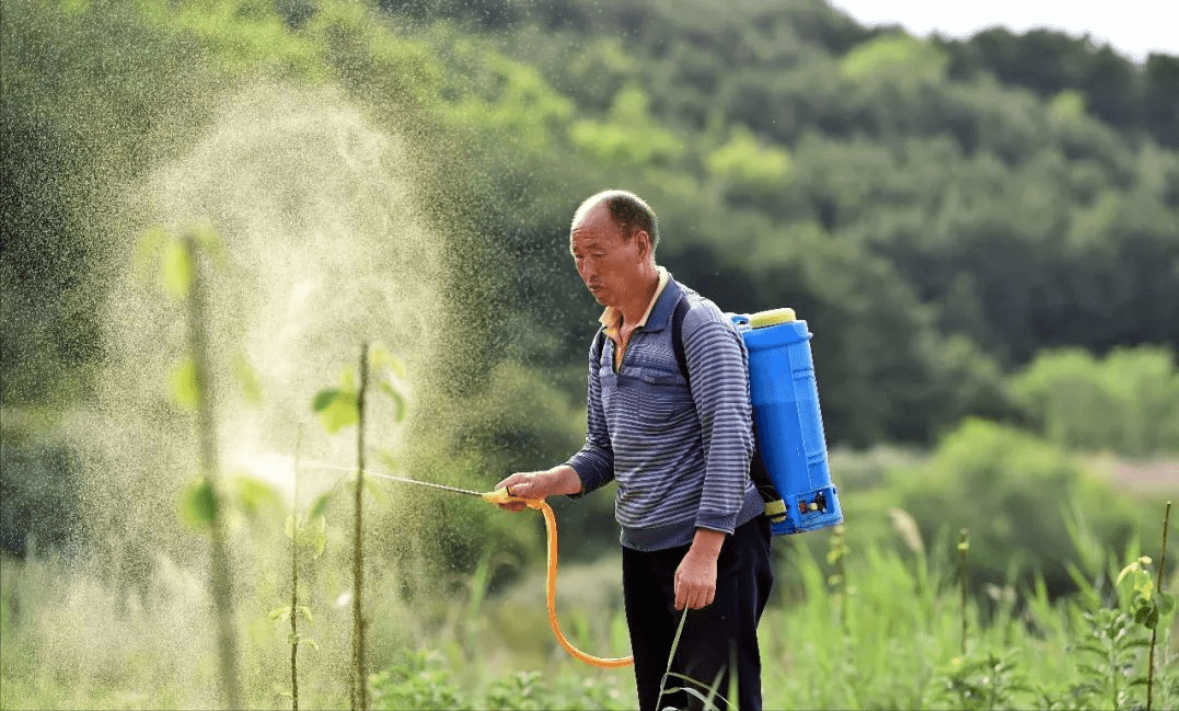 这样喷药