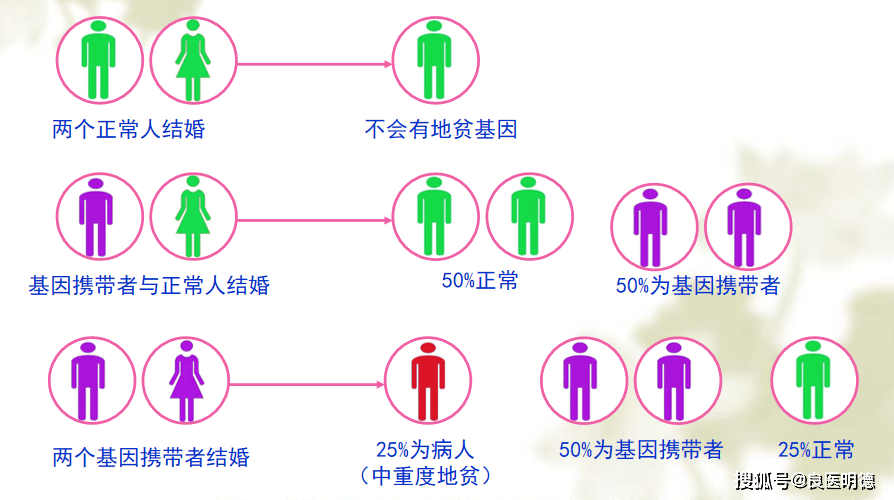 α和β地贫哪个比较严重 ( 夫妻双方地贫如何备孕)