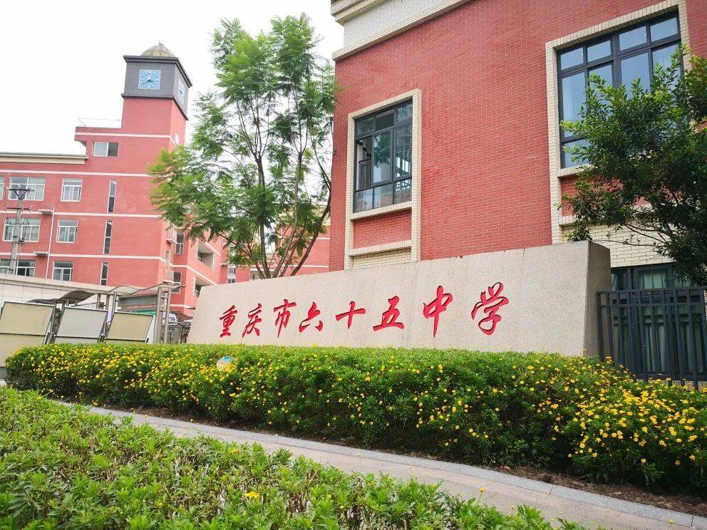 看看分布图,交通路线,考生重视!_公交车站_学校名称_南岸区