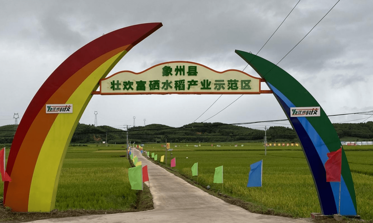 广西优步科技有限公司——奋进在科技创新,服务"三农"的路上_壮欢