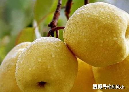 脂肪肝吃什么好？多吃这几种食物轻松灭掉脂肪肝（脂肪肝最好吃什么油）