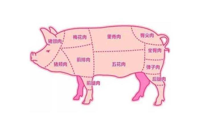 医生提醒：猪身上“最脏”的3个部位，买时需谨慎!_搜狐网