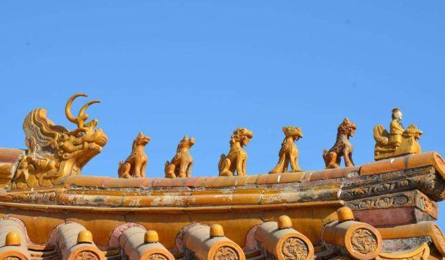 故宫的房顶从没有鸟粪,600多年了为何如此干净?