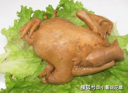 一个半月出栏的鸡是打了激素?辟谣:放心吃 ,没激素_白羽_周期_才能