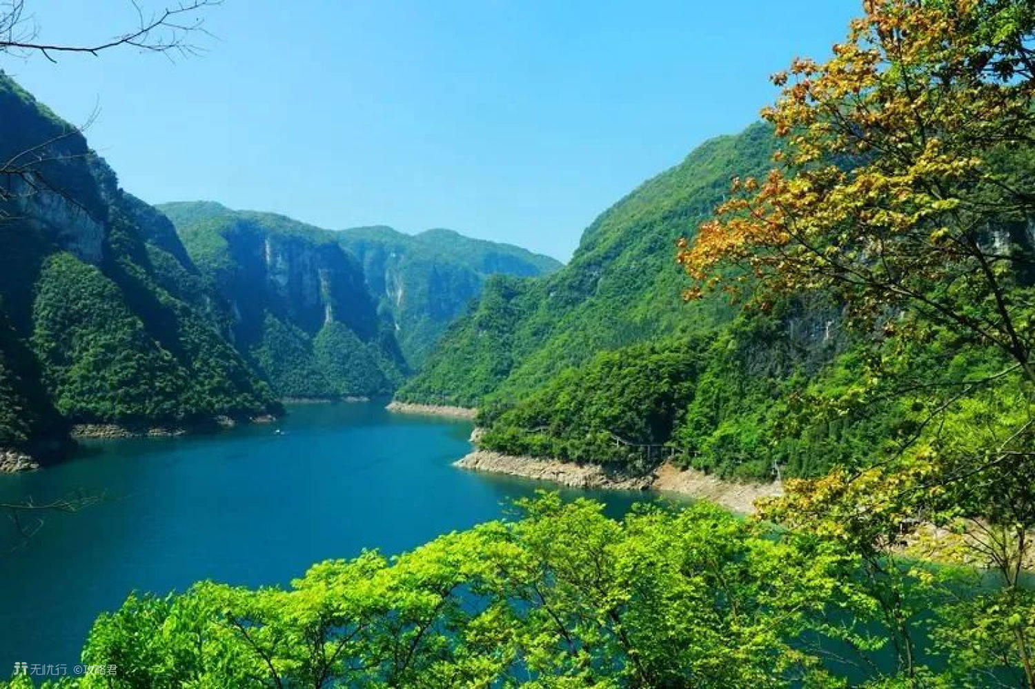 5月19日免門票:麻城市a級全部旅遊景區,通天河景區,龍門花海景區和