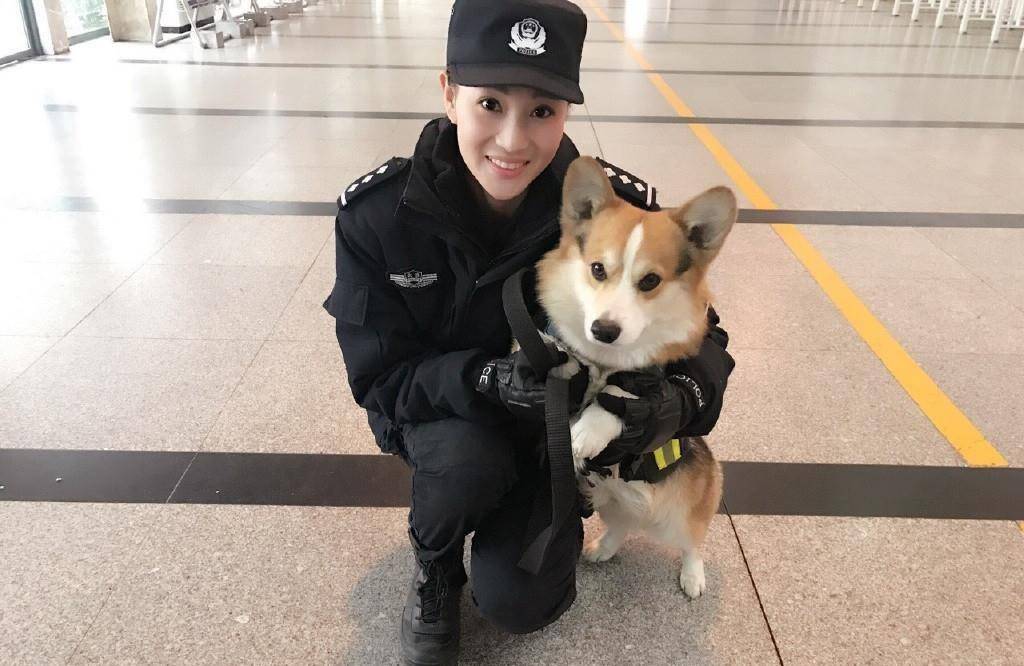 对于观众来说,《警花与警犬》系列剧中每一只警犬都很可爱.