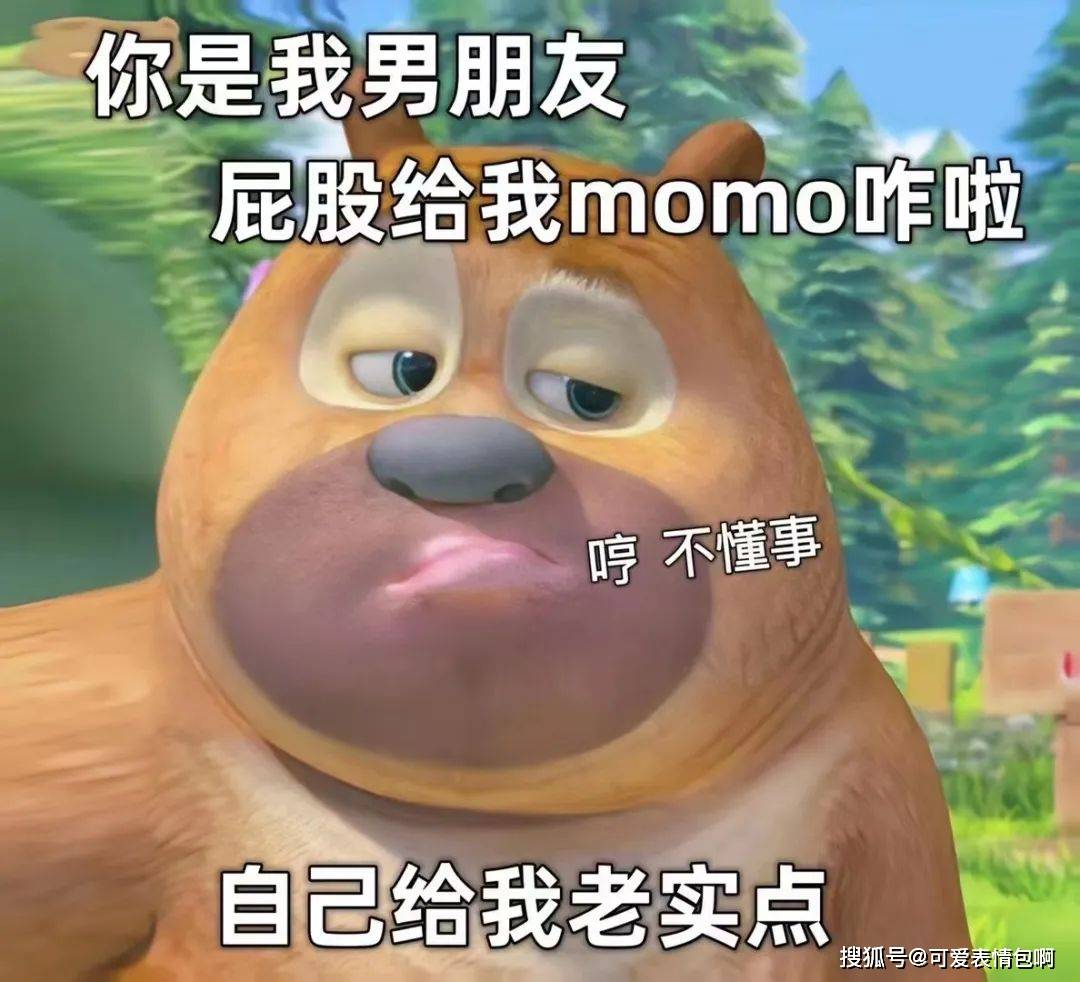 熊大熊二表情包|美女请嫁给我,别逼我求你_侵权_高清_水印