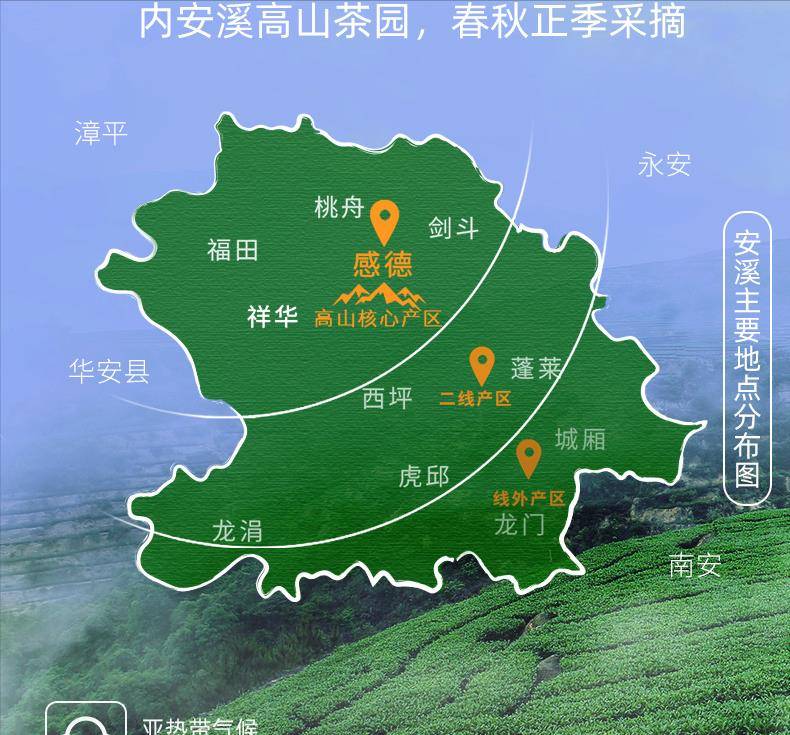 铁观音中国十大名茶之一 半发酵青茶 乌龙茶中极品_安溪县_全国_茶叶