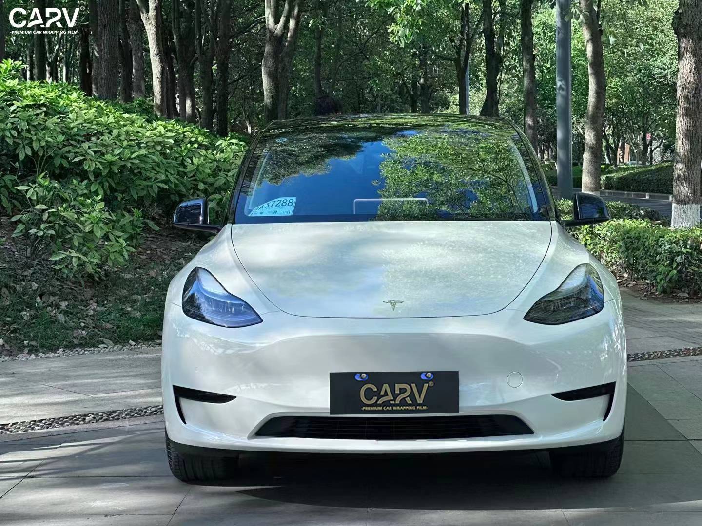 特斯拉modely卡孚改色膜白金胡椒白,经典而又不失时尚_搜狐汽车_搜狐