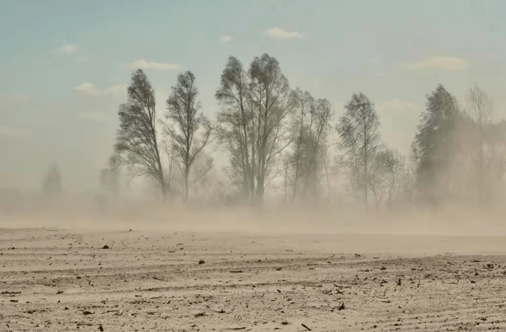 当然,造成沙尘暴的主要原因还是因为人类过度放牧,滥伐森林以及过度