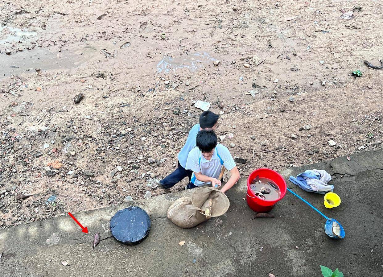 江蘇兩小學生在河邊釣到幾十條魚,附近漁民說:釣不上了_鯉魚_孩子