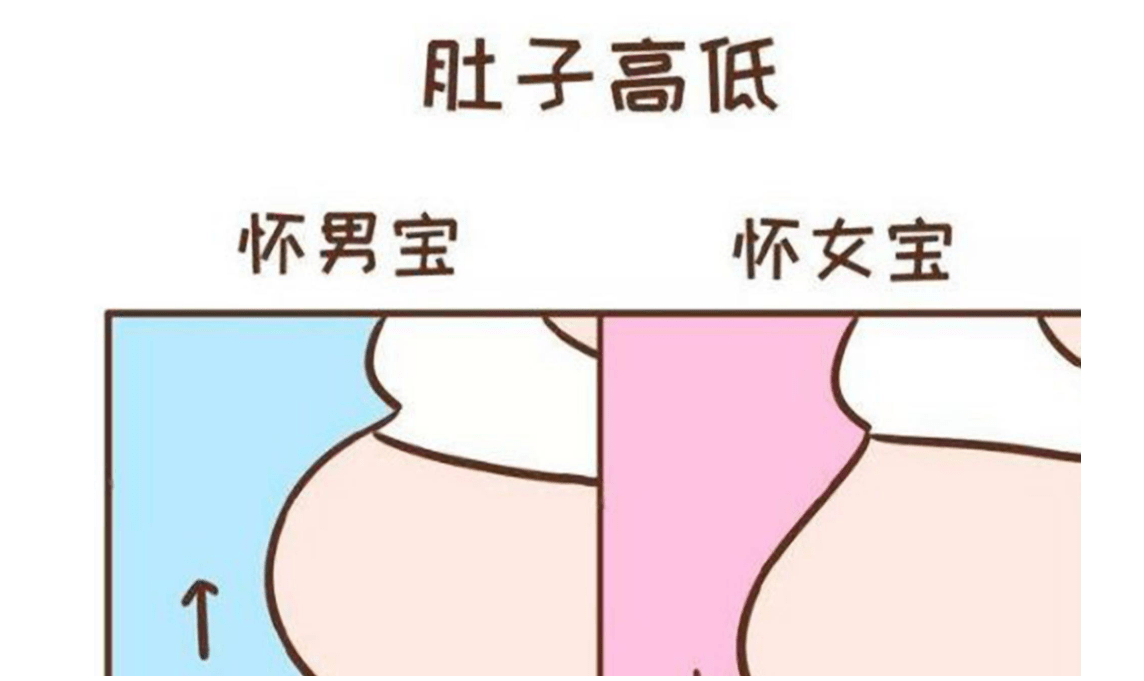 怀孕五个月男女区别图图片