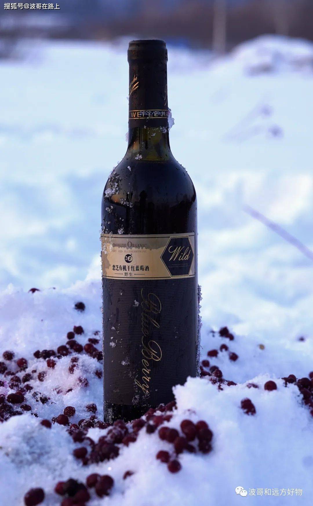 远方好物平台上线的第482天_自然_设计的_花青素