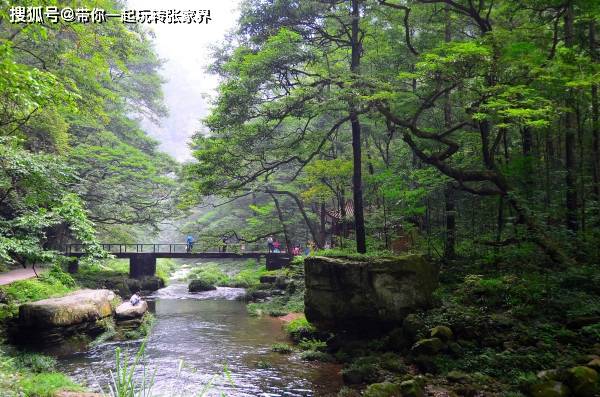 张家界玻璃桥4天3晚自由行攻略-张家界玻璃桥旅游攻略及费用