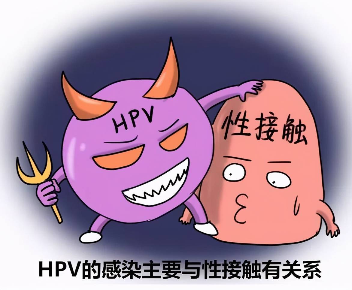 男性感染hpv也會患癌!不知道這些知識就晚了_病毒_陰莖_肛門