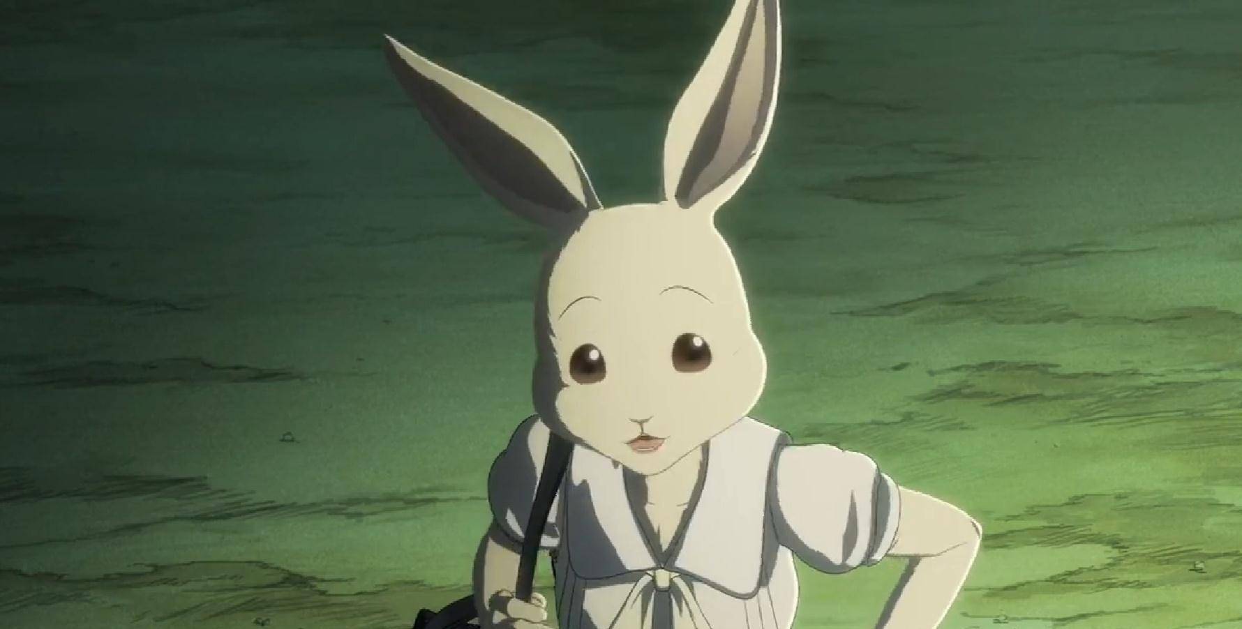 春和朱诺,《beastars》中的一对"情敌"拥有着完全