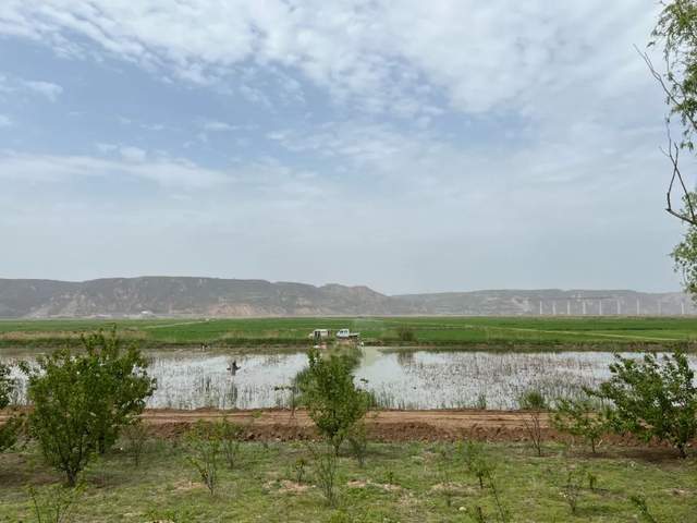 水系调研走进临猗孙吉镇屈村_村里_黄河_滩地