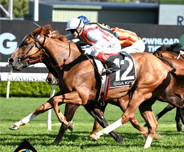 总奖金升至2000万澳元,巅峰赛成世界第二贵赛马赛事!