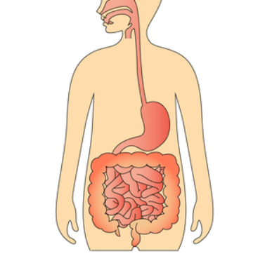 深度瞭解胃食管反流病:不能當做簡單胃病來對待_治療_胃部_胃酸