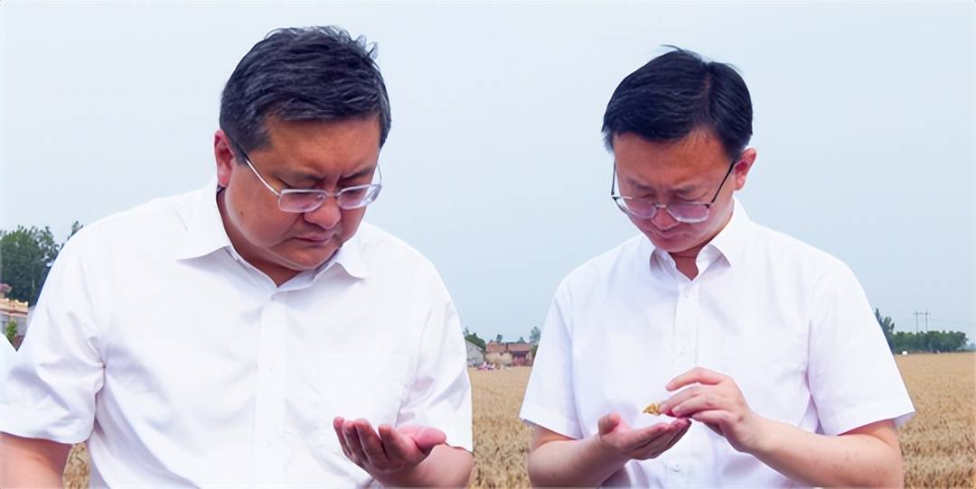 商丘市副市长高大立到夏邑县调研"三夏"生产工作_小麦_种子_天气